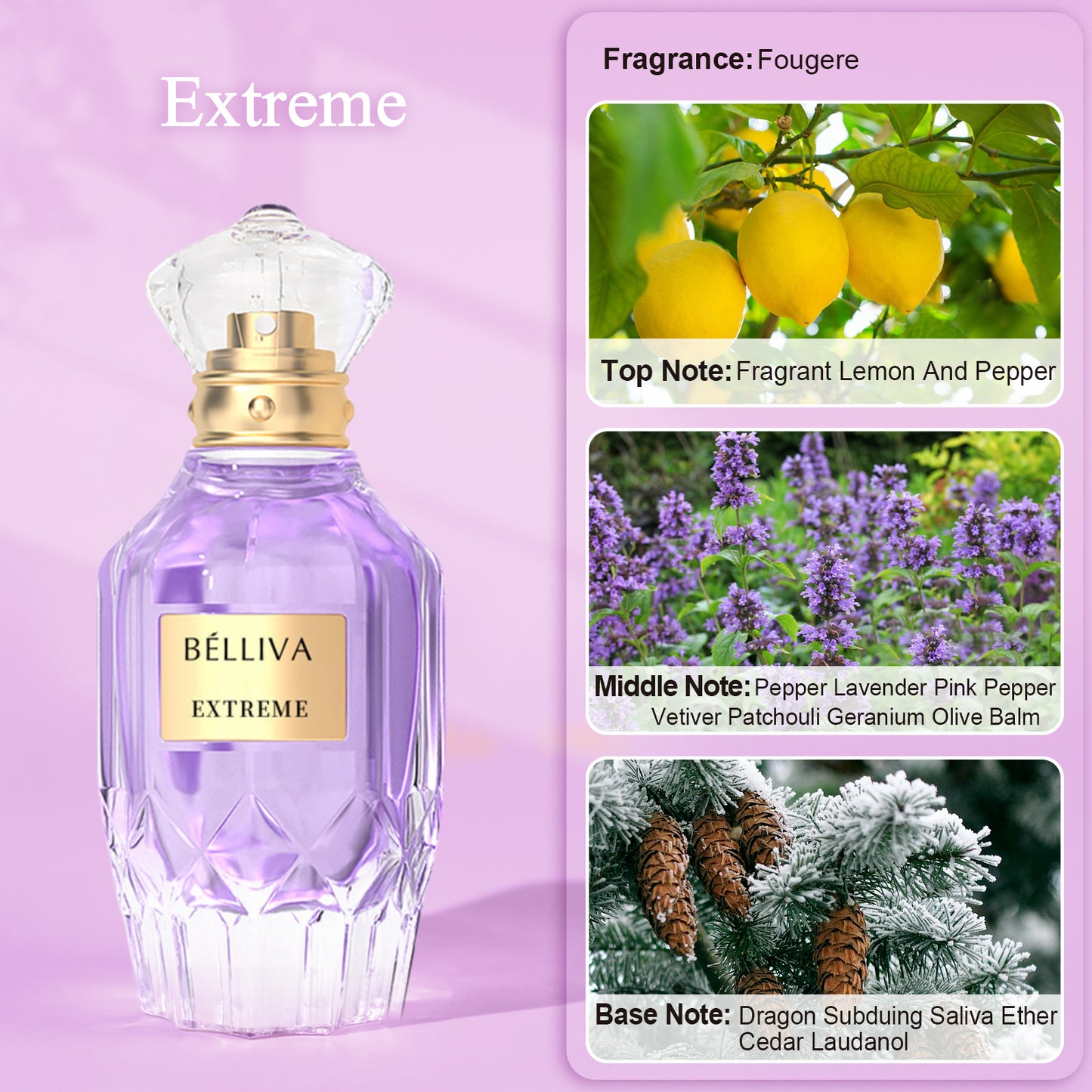 BELLIVA Extreme 50ml Women's Eau De Parfum+2 x 5ml Fragrance Roller Balls,Long Lasting Fresh Floral and Fruity Scented Perfume