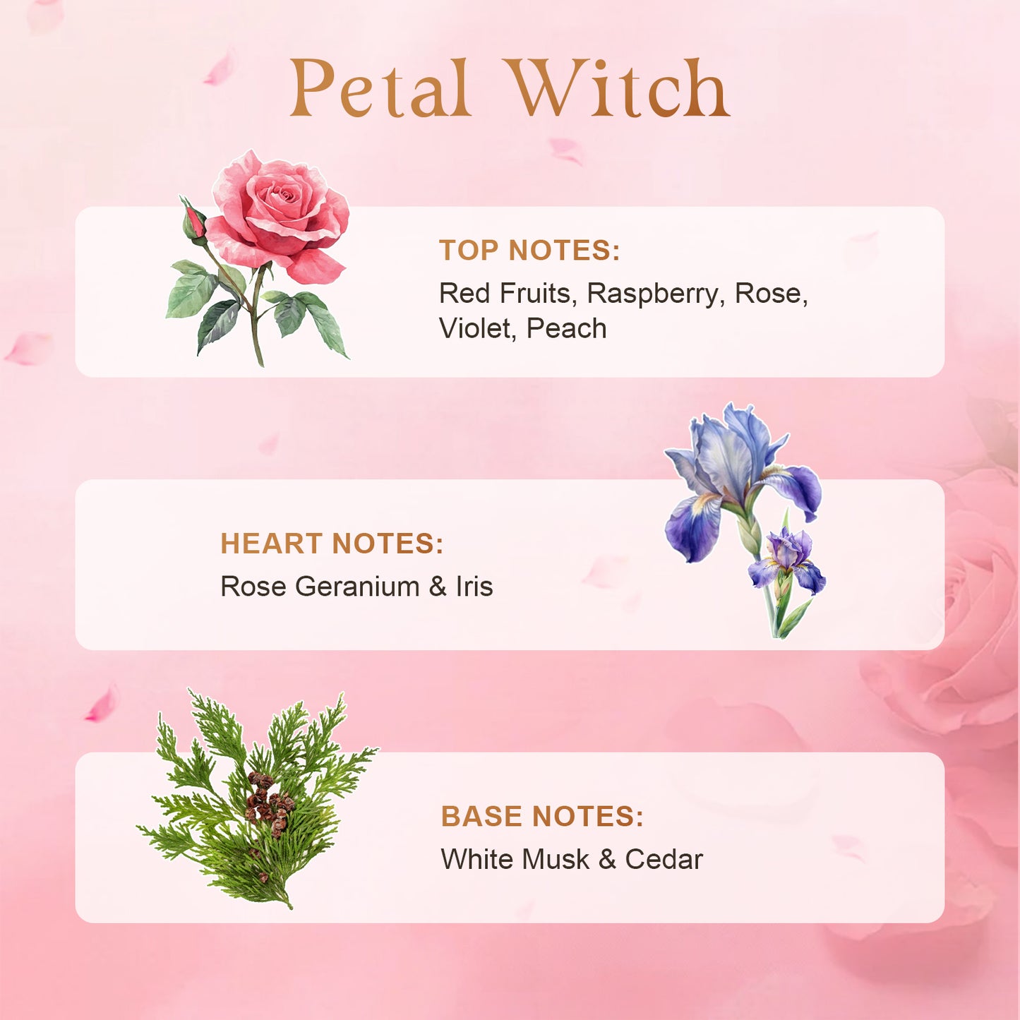 BELLIVA Petal Witch Women Perfume 50ml – Sweet Fruity Floral Vanilla, Long Lasting, Romantic Witchy Fragrance | Magical Vibe | Limited Edition Perfume Price [Buy 2 = 20% OFF · Buy 4 = 25% OFF]