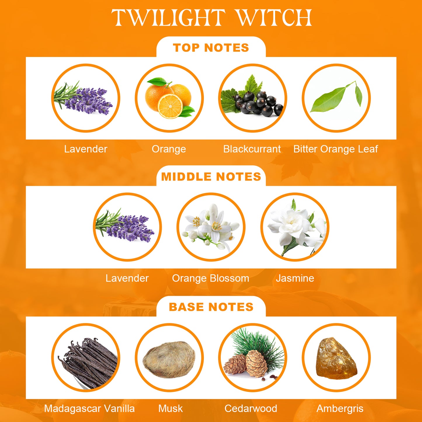 Belliva Twilight Witch 50ml Autumn Winter Limited Edition Warmth Vanilla Cedar Musk Scent Long Lasting Sunset Healing
